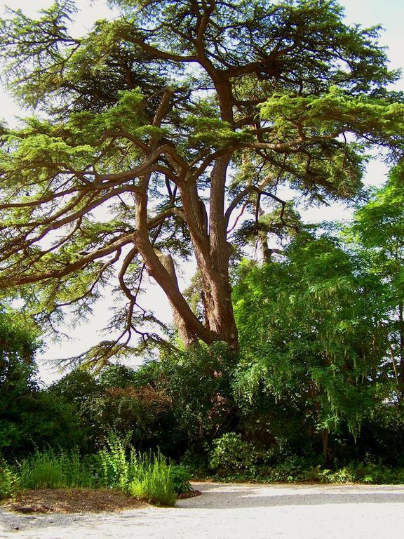 Clos De Bellefontaine B&B Μπαγιέ Εξωτερικό φωτογραφία
